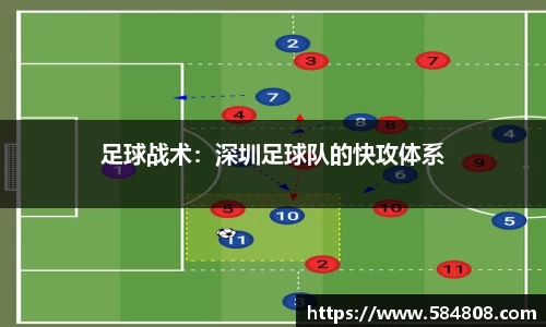 星空·综合体育官方网站
