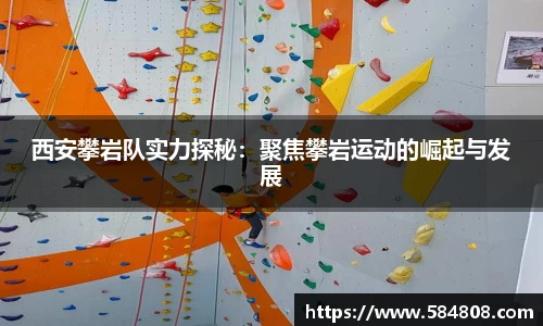 星空·综合体育中国官网
