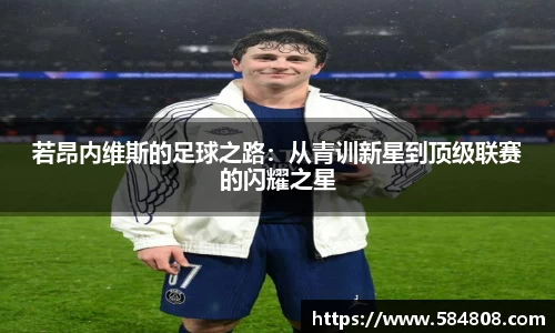 星空·综合体育官方网站