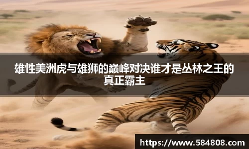 雄性美洲虎与雄狮的巅峰对决谁才是丛林之王的真正霸主